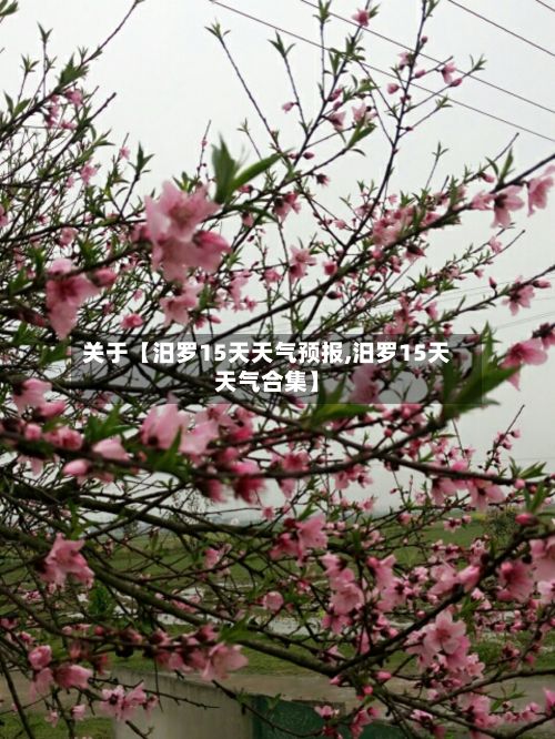 关于【汨罗15天天气预报,汨罗15天天气合集】-第1张图片