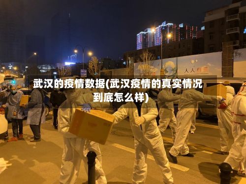 武汉的疫情数据(武汉疫情的真实情况到底怎么样)-第1张图片
