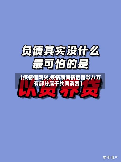 【疫情借网贷,疫情期间情侣借款八万有部分属于共同消费】-第1张图片