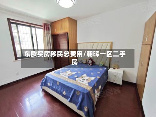 东欧买房移民总费用/朝晖一区二手房-第1张图片
