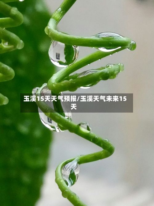 玉溪15天天气预报/玉溪天气未来15天-第1张图片