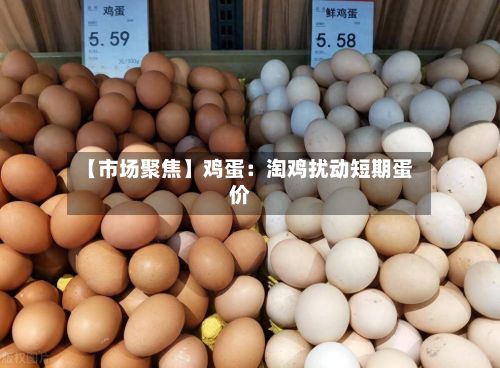【市场聚焦】鸡蛋:淘鸡扰动短期蛋价-第1张图片