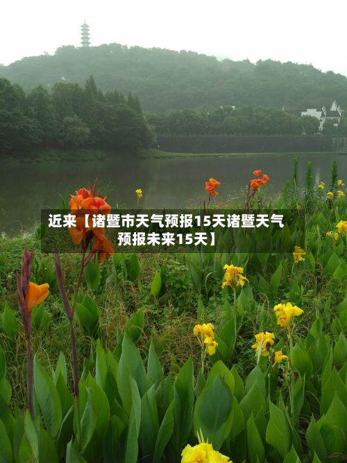 近来【诸暨市天气预报15天诸暨天气预报未来15天】-第1张图片