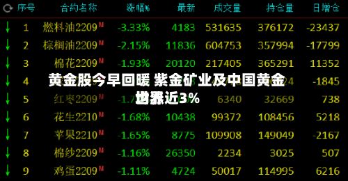 黄金股今早回暖 紫金矿业及中国黄金世界
均涨近3%-第1张图片