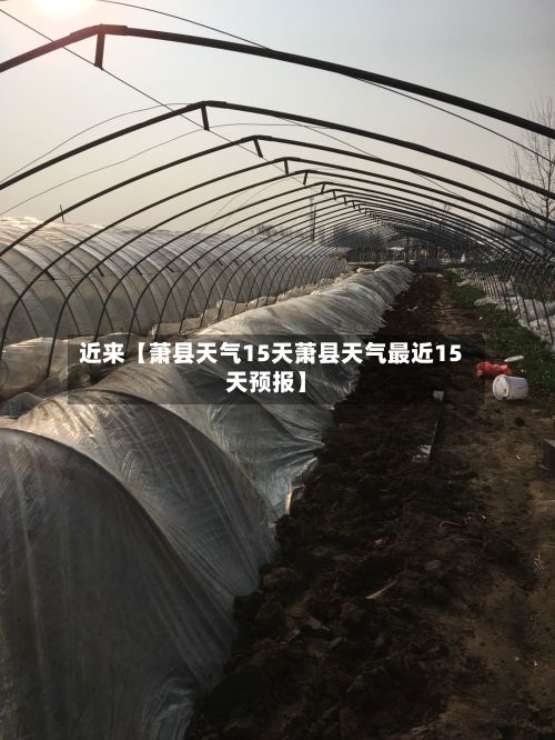 近来【萧县天气15天萧县天气最近15天预报】-第1张图片