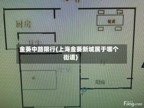 金葵中路限行(上海金葵新城属于哪个街道)-第1张图片