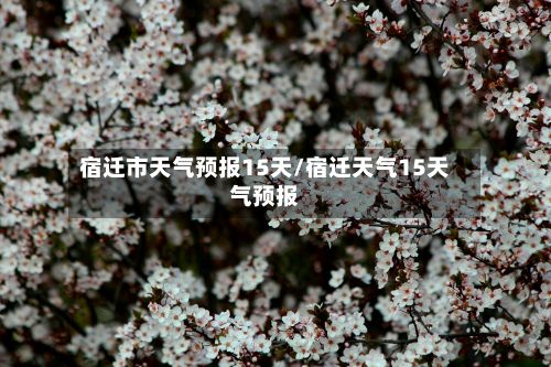 宿迁市天气预报15天/宿迁天气15天气预报-第1张图片
