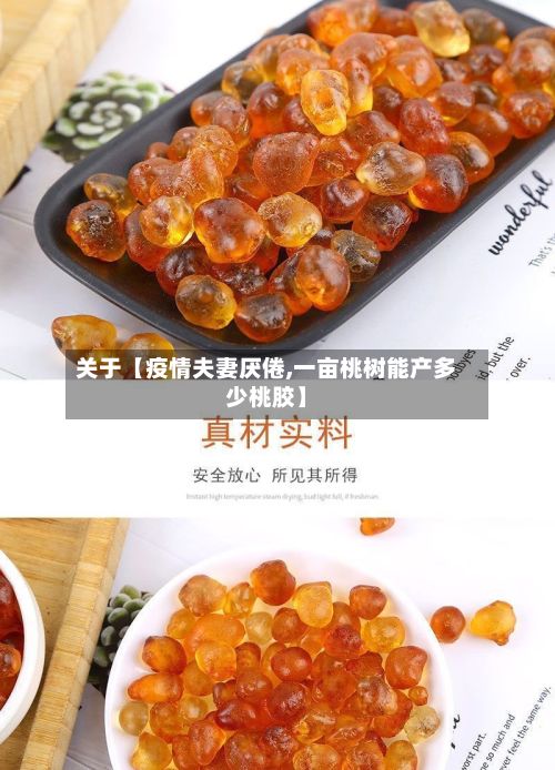 关于【疫情夫妻厌倦,一亩桃树能产多少桃胶】-第1张图片