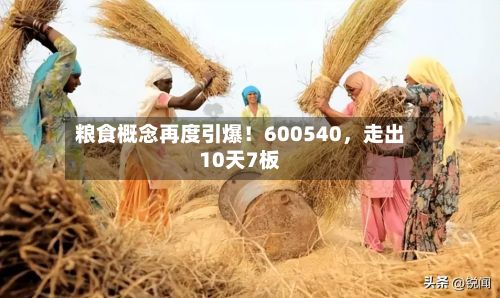粮食概念再度引爆！600540，走出10天7板-第1张图片