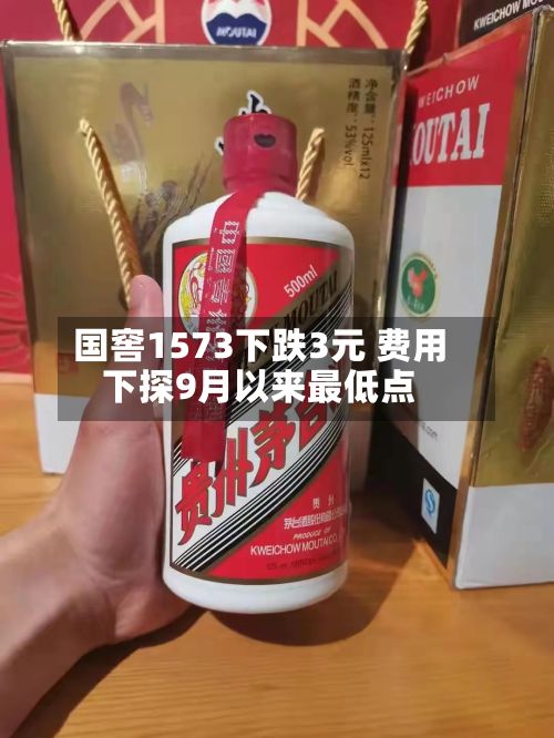国窖1573下跌3元 费用
下探9月以来最低点-第1张图片