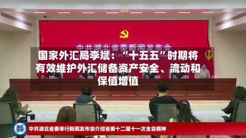 国家外汇局李斌：“十五五”时期将有效维护外汇储备资产安全、流动和保值增值-第1张图片