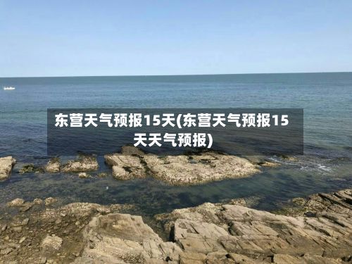 东营天气预报15天(东营天气预报15天天气预报)-第1张图片