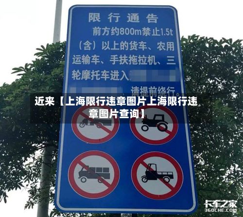 近来【上海限行违章图片上海限行违章图片查询】-第1张图片
