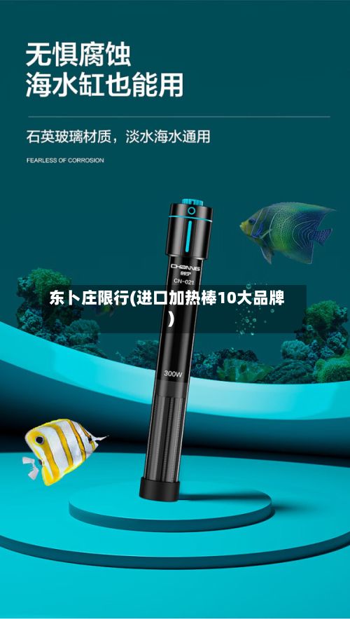 东卜庄限行(进口加热棒10大品牌)-第1张图片