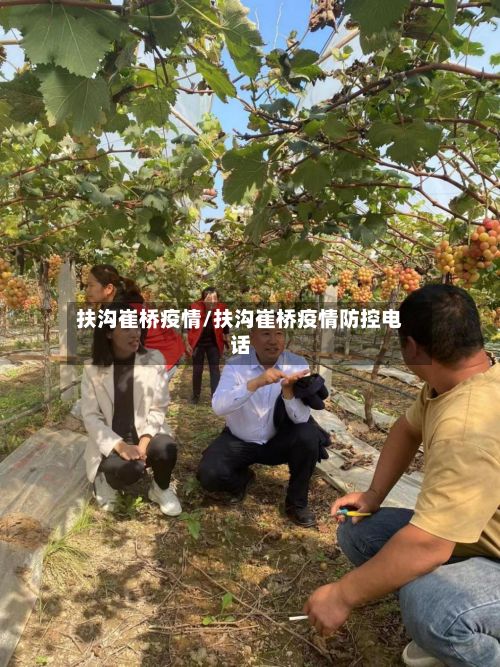 扶沟崔桥疫情/扶沟崔桥疫情防控电话-第1张图片