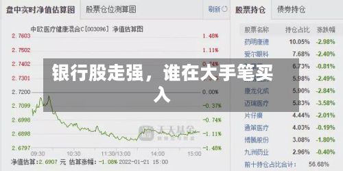 银行股走强，谁在大手笔买入-第1张图片