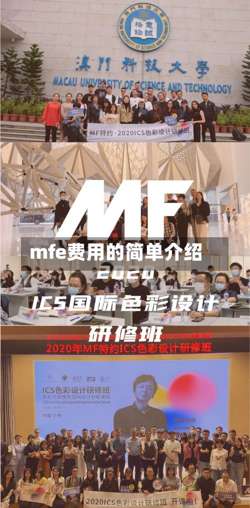 mfe费用的简单介绍-第1张图片