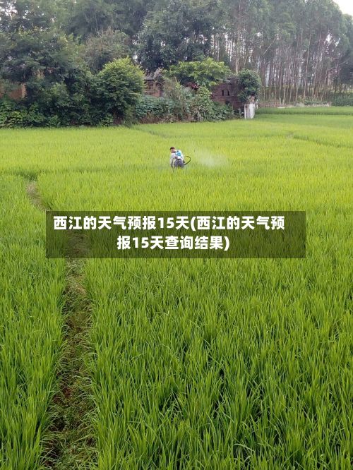 西江的天气预报15天(西江的天气预报15天查询结果)-第1张图片