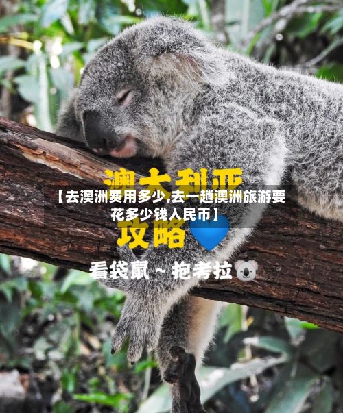 【去澳洲费用多少,去一趟澳洲旅游要花多少钱人民币】-第1张图片