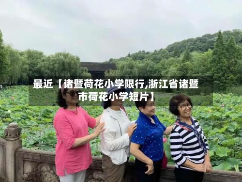 最近【诸暨荷花小学限行,浙江省诸暨市荷花小学短片】-第1张图片