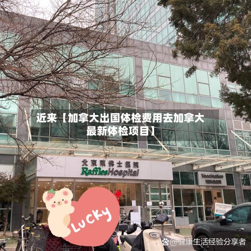 近来【加拿大出国体检费用去加拿大最新体检项目】-第1张图片