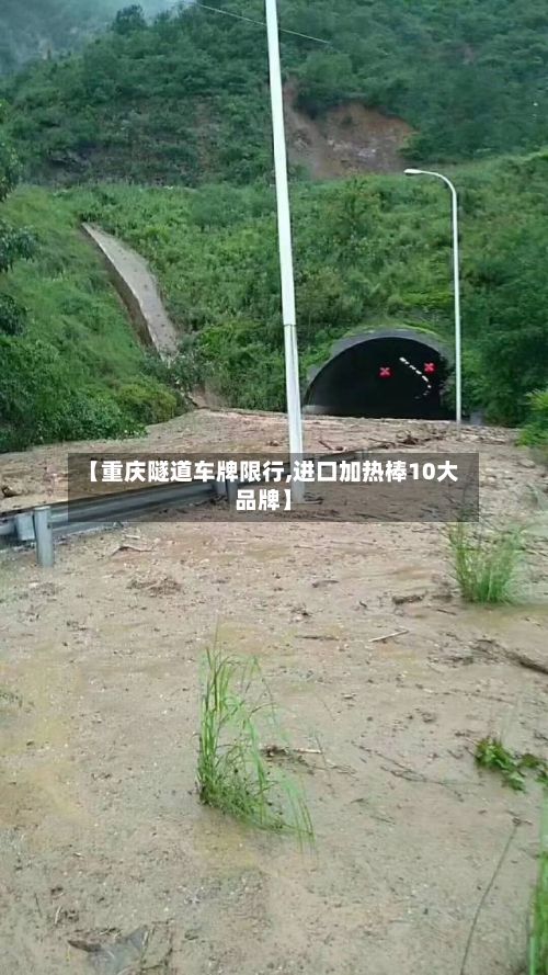 【重庆隧道车牌限行,进口加热棒10大品牌】-第1张图片