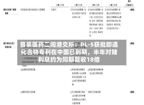 普莱医药二闯港交所：PL-5获批即遇化合物专利在中国已到期，半年对赌利息约为同期营收18倍-第1张图片