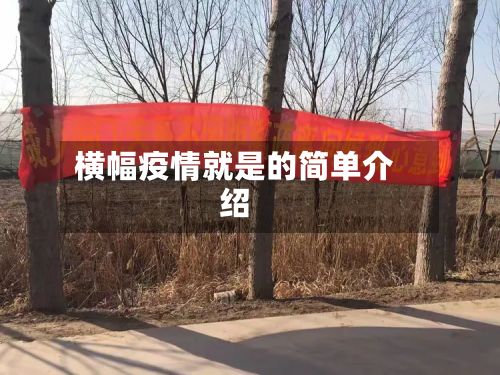 横幅疫情就是的简单介绍-第1张图片
