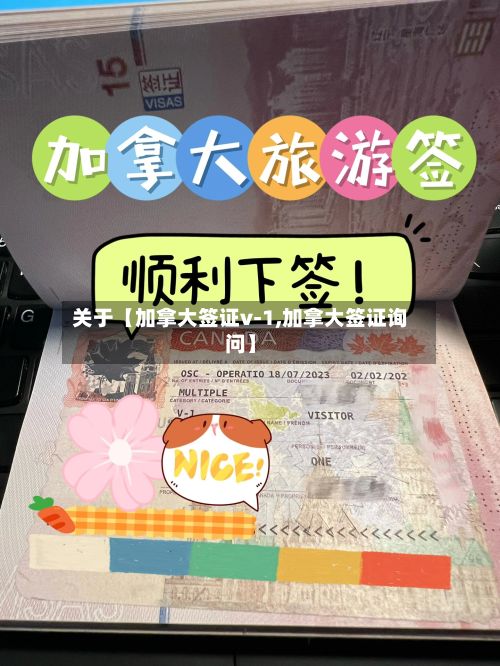 关于【加拿大签证v-1,加拿大签证询问】-第1张图片