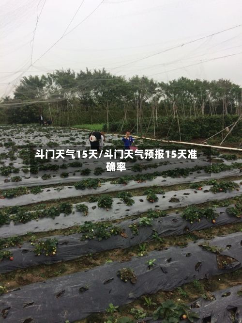 斗门天气15天/斗门天气预报15天准确率-第1张图片