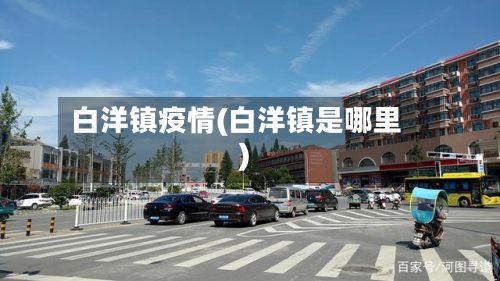 白洋镇疫情(白洋镇是哪里)-第1张图片