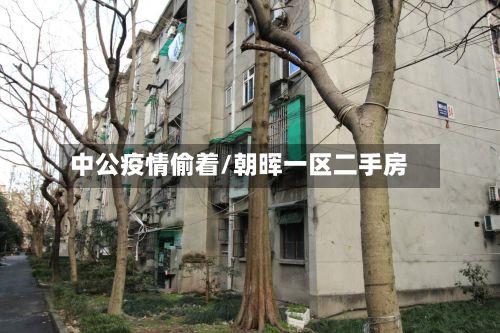 中公疫情偷着/朝晖一区二手房-第1张图片