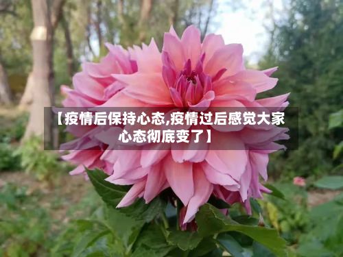 【疫情后保持心态,疫情过后感觉大家心态彻底变了】-第1张图片