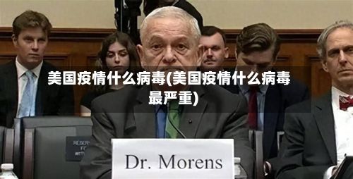 美国疫情什么病毒(美国疫情什么病毒最严重)-第1张图片