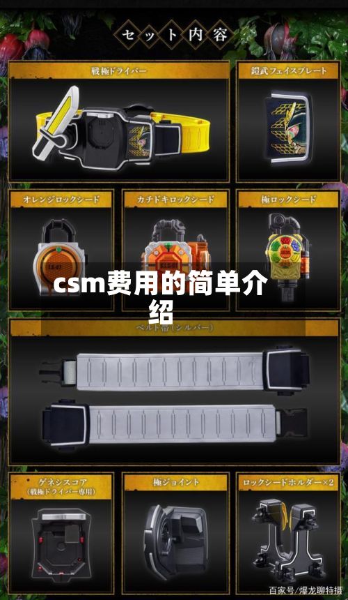 csm费用的简单介绍-第1张图片