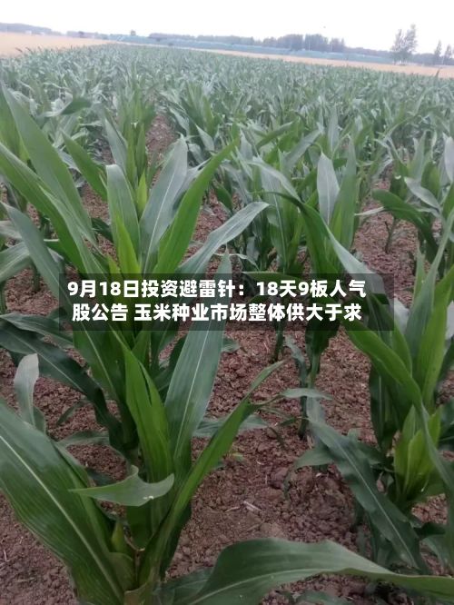 9月18日投资避雷针：18天9板人气股公告 玉米种业市场整体供大于求-第1张图片