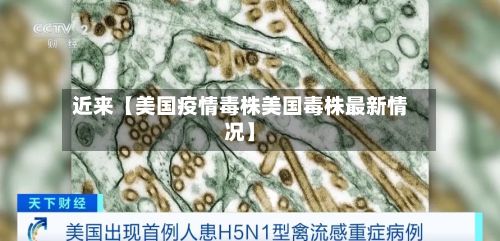 近来【美国疫情毒株美国毒株最新情况】-第1张图片