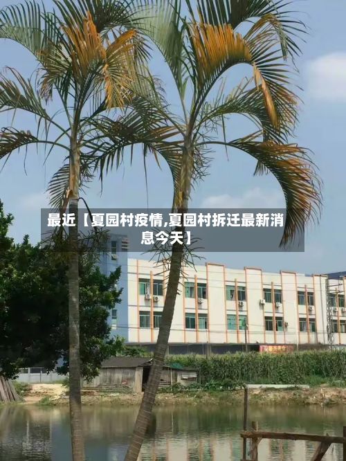 最近【夏园村疫情,夏园村拆迁最新消息今天】-第1张图片