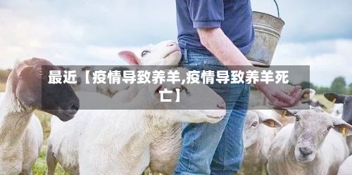 最近【疫情导致养羊,疫情导致养羊死亡】-第1张图片