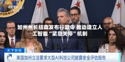 加州州长纽森发布行政令 推动建立人工智能“紧急关停”机制-第1张图片