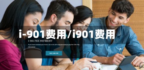 i-901费用/i901费用-第1张图片