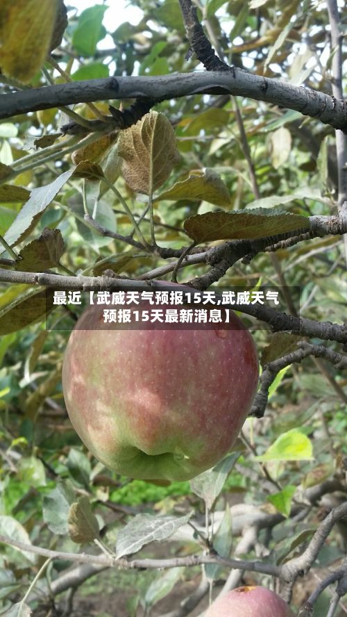 最近【武威天气预报15天,武威天气预报15天最新消息】-第1张图片