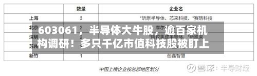 603061，半导体大牛股	，逾百家机构调研！多只千亿市值科技股被盯上-第1张图片