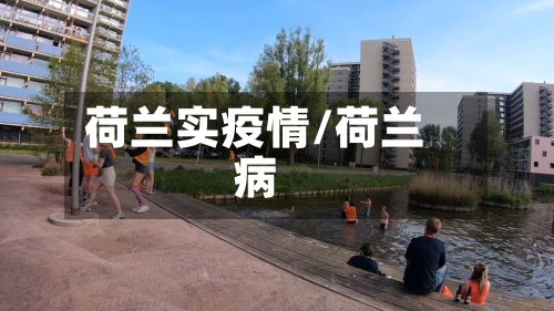 荷兰实疫情/荷兰病-第1张图片