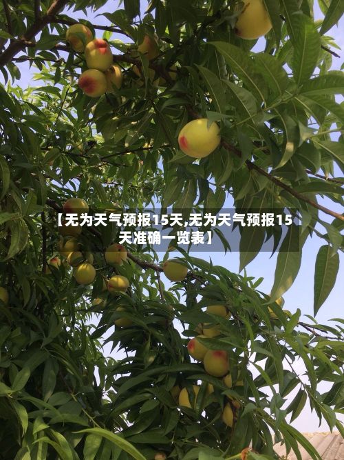 【无为天气预报15天,无为天气预报15天准确一览表】-第1张图片