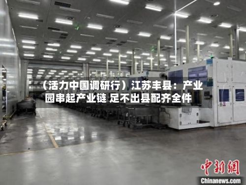（活力中国调研行）江苏丰县：产业园串起产业链 足不出县配齐全件-第1张图片