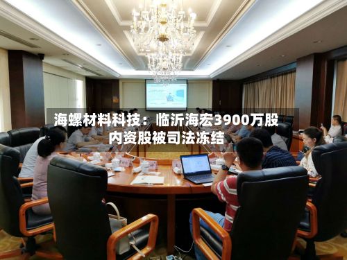 海螺材料科技:临沂海宏3900万股内资股被司法冻结-第1张图片