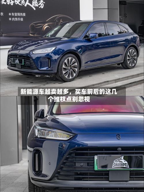 新能源车越卖越多	，买车前后的这几个维权点别忽视-第1张图片