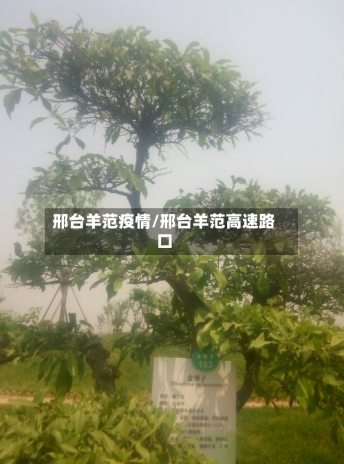 邢台羊范疫情/邢台羊范高速路口-第1张图片