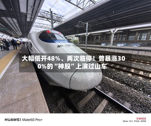 大幅低开48%	、两次临停！曾暴涨300%的“神股	”上演过山车-第1张图片